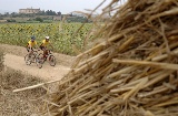 Girona ermöglicht Radfahrern, zwischen Feldern und auf schönen Landstrassen zu radeln Girona ermöglicht Radfahrern, zwischen Feldern und auf schönen Landstrassen zu radeln