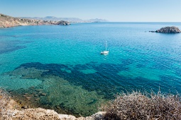 Bootsausflüge vor der Küste von Mazarrón ermöglichen Besuchern, Wale in ihrem natürlichen Lebensraum zu beobachten