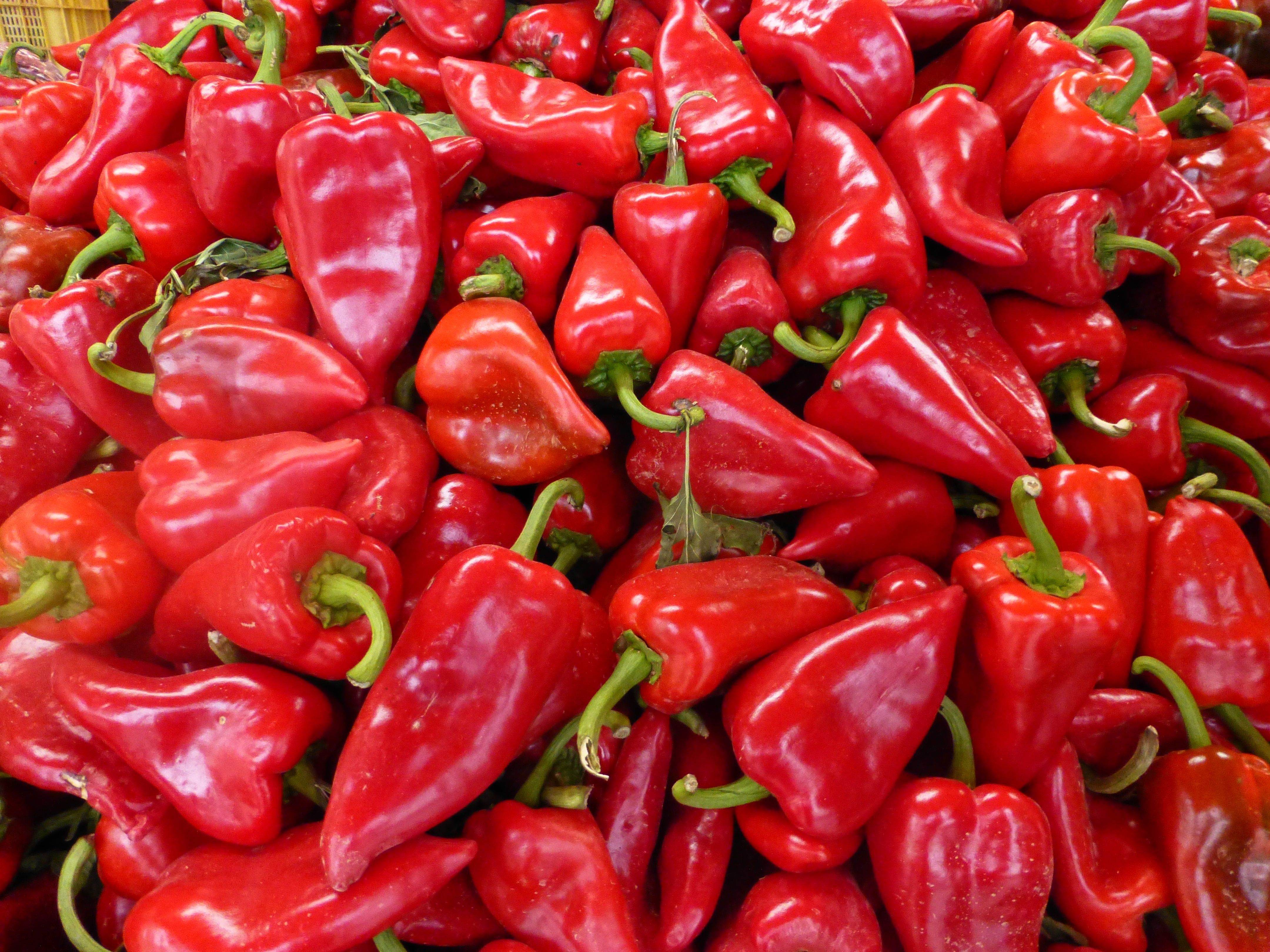 Pimientos del piquillo
