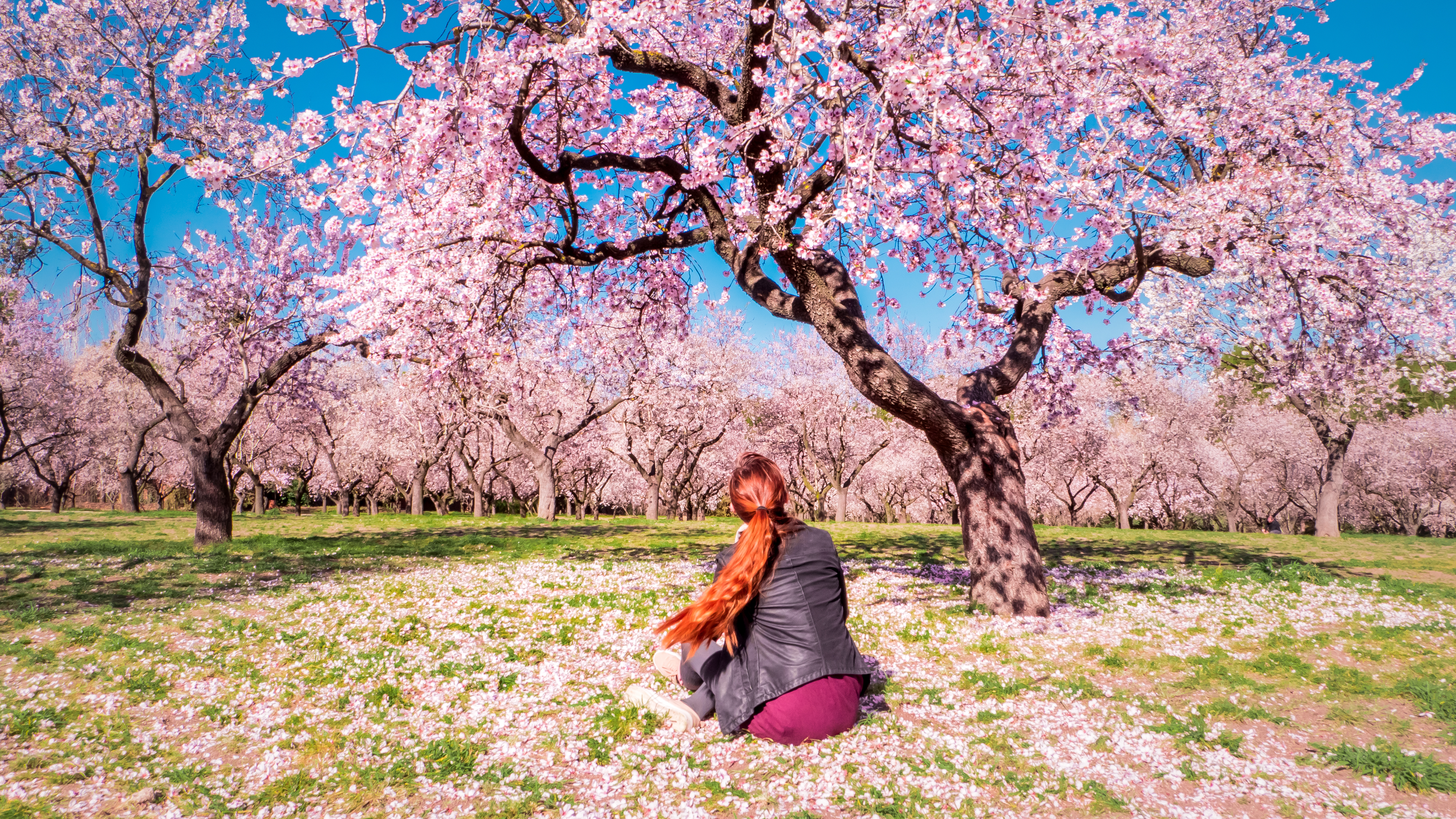 La Quinta de los Molinos, Landhaus mit historischem Garten. Hier blühen Mandelbäume zwischen Februar und März