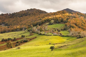 Wald von Peloño im Naturpark Ponga