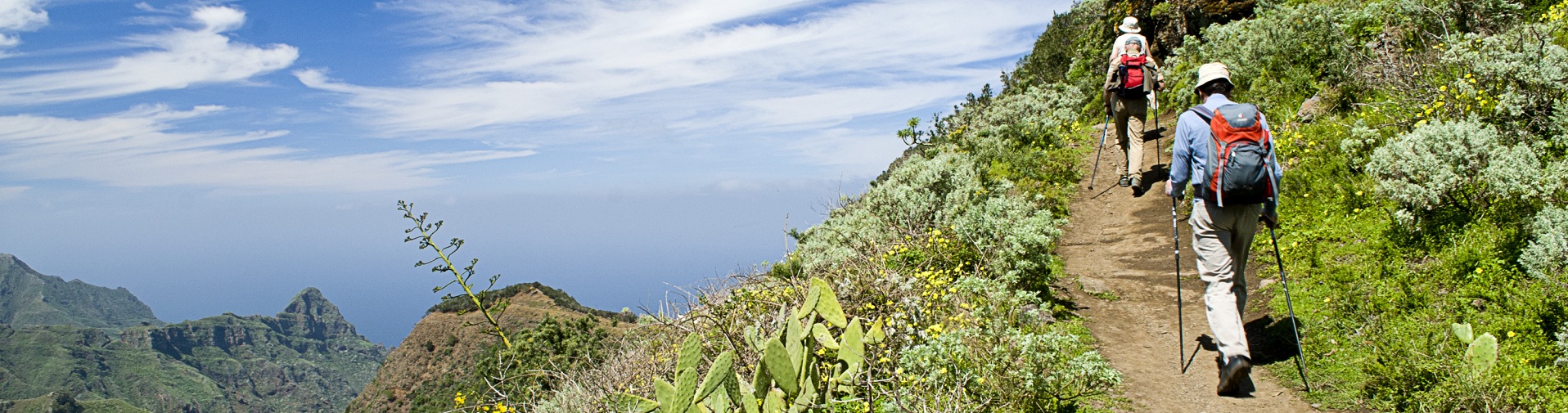 Der Wanderweg Cruz del Carmen-Punta del Hidalgo (Santa Cruz de Tenerife) ist 10 km lang und weist einen Höhenunterschied von bis zu 916 Metern auf. © Turismo Islas Canarias