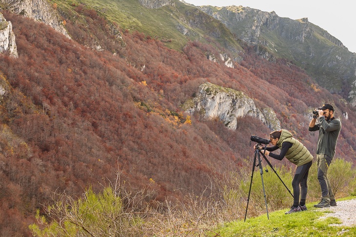 Der Naturpark Somiedo (Asturien, Spanien) ist eines der wichtigsten Gebiete für die Beobachtung von Braunbären. Der Naturpark Somiedo (Asturien, Spanien) ist eines der wichtigsten Gebiete für die Beobachtung von Braunbären.