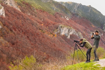 Der Naturpark Somiedo (Asturien, Spanien) ist eines der wichtigsten Gebiete für die Beobachtung von Braunbären.