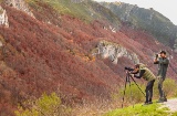 Der Naturpark Somiedo (Asturien, Spanien) ist eines der wichtigsten Gebiete für die Beobachtung von Braunbären. Der Naturpark Somiedo (Asturien, Spanien) ist eines der wichtigsten Gebiete für die Beobachtung von Braunbären.