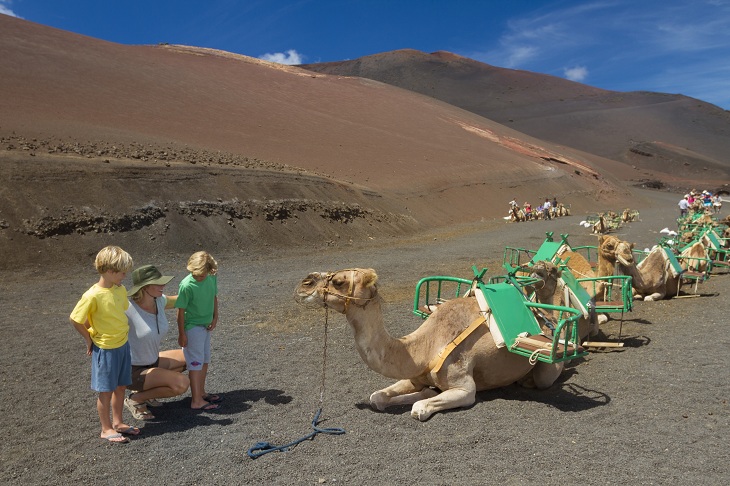 Ein Ritt auf einem Dromedar durch den Nationalpark Timanfaya zählt zu den aussergewöhnlichsten Familienerlebnissen auf Lanzarote. © Turismo Islas Canarias Ein Ritt auf einem Dromedar durch den Nationalpark Timanfaya zählt zu den aussergewöhnlichsten Familienerlebnissen auf Lanzarote. © Turismo Islas Canarias