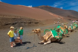 Ein Ritt auf einem Dromedar durch den Nationalpark Timanfaya zählt zu den aussergewöhnlichsten Familienerlebnissen auf Lanzarote. © Turismo Islas Canarias