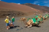 Ein Ritt auf einem Dromedar durch den Nationalpark Timanfaya zählt zu den aussergewöhnlichsten Familienerlebnissen auf Lanzarote. © Turismo Islas Canarias Ein Ritt auf einem Dromedar durch den Nationalpark Timanfaya zählt zu den aussergewöhnlichsten Familienerlebnissen auf Lanzarote. © Turismo Islas Canarias
