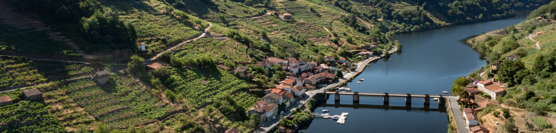 Die Ribeira Sacra ist ein Weinbaugebiet mit einer Rebfläche von rund 2'500 Hektaren.