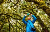 Im Jahr 1986 wurde der Nationalpark Garajonay auf La Gomera von der UNESCO zum Weltkulturerbe erklärt Im Jahr 1986 wurde der Nationalpark Garajonay auf La Gomera von der UNESCO zum Weltkulturerbe erklärt