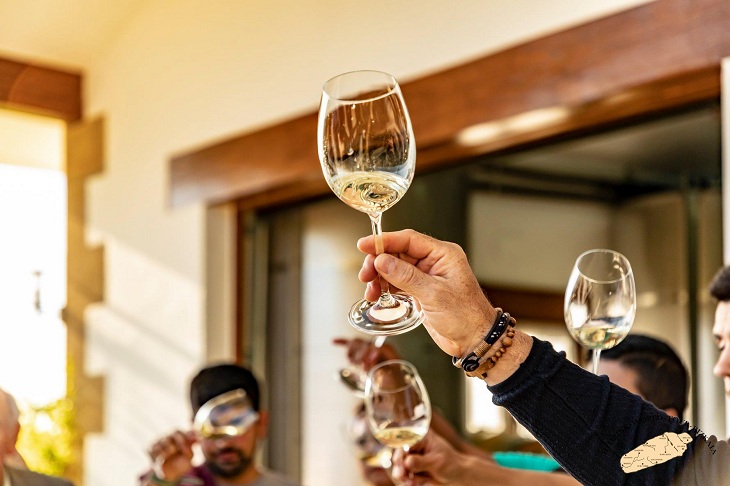 Bei einer Txakoli-Verkostung erfahren Teilnehmende mehr über den Wein und seine Herstellung – vom Weinberg bis ins Weingut.