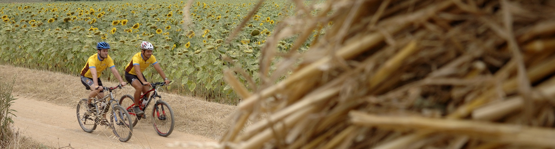 Girona ermöglicht Radfahrern, zwischen Feldern und auf schönen Landstrassen zu radeln