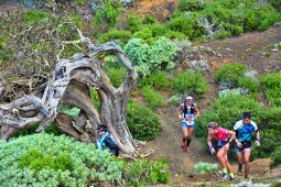 Der Maratón del Meridiano ist das sportliche Highlight der Insel El Hierro Der Maratón del Meridiano ist das sportliche Highlight der Insel El Hierro