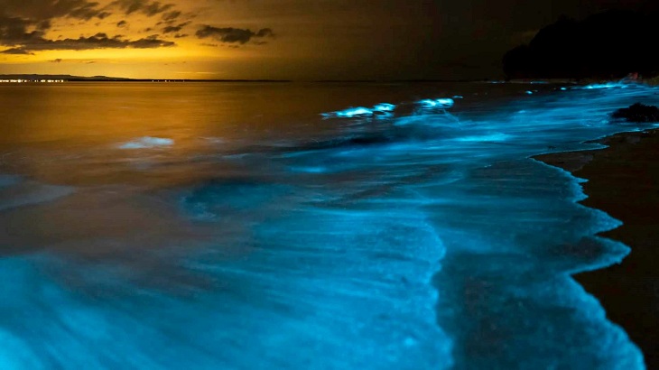 Das Meeresleuchten ist ein Naturphänomen, das den Meeresströmungen Galiciens folgt un durch die Ansammlung von biolumineszenten Phytoplankton ensteht.