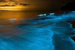 Das Meeresleuchten ist ein Naturphänomen, das den Meeresströmungen Galiciens folgt un durch die Ansammlung von biolumineszenten Phytoplankton ensteht. Das Meeresleuchten ist ein Naturphänomen, das den Meeresströmungen Galiciens folgt un durch die Ansammlung von biolumineszenten Phytoplankton ensteht.