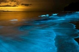 Das Meeresleuchten ist ein Naturphänomen, das den Meeresströmungen Galiciens folgt un durch die Ansammlung von biolumineszenten Phytoplankton ensteht. Das Meeresleuchten ist ein Naturphänomen, das den Meeresströmungen Galiciens folgt un durch die Ansammlung von biolumineszenten Phytoplankton ensteht.
