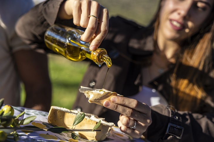 Extremadura is home to three Protected Designations of Origin that guarantee the quality of the oil produced, plus nine territories with a long-standing olive-growing tradition © Junta de Extremadura | Juan Félix Ceballos Mándezt