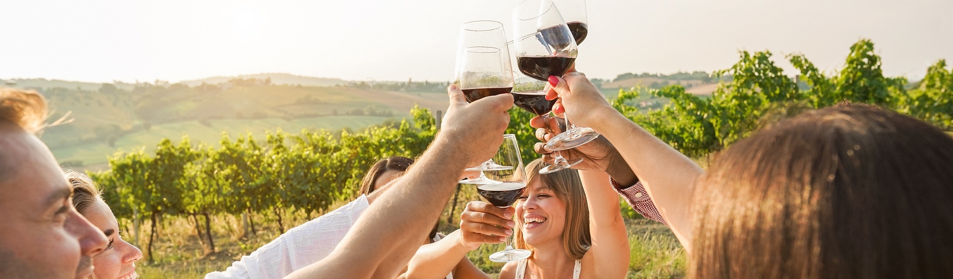 Weinverkostung in einem Weingut