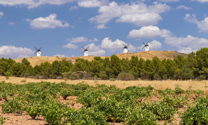 Panoramablick auf die traditionellen Windmühlen von La Mancha und die Weinberge von Alcázar de San Juan. Panoramablick auf die traditionellen Windmühlen von La Mancha und die Weinberge von Alcázar de San Juan.