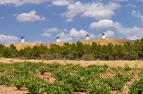 Panoramablick auf die traditionellen Windmühlen von La Mancha und die Weinberge von Alcázar de San Juan. Panoramablick auf die traditionellen Windmühlen von La Mancha und die Weinberge von Alcázar de San Juan.
