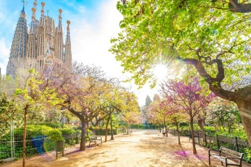 Die Sagrada Familia ist das meistbesuchte Bauwerk Spaniens und nach dem Petersdom die zweithäufigstbesuchte Kirche Europas.