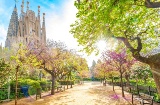 Die Sagrada Familia ist das meistbesuchte Bauwerk Spaniens und nach dem Petersdom die zweithäufigstbesuchte Kirche Europas. Die Sagrada Familia ist das meistbesuchte Bauwerk Spaniens und nach dem Petersdom die zweithäufigstbesuchte Kirche Europas.
