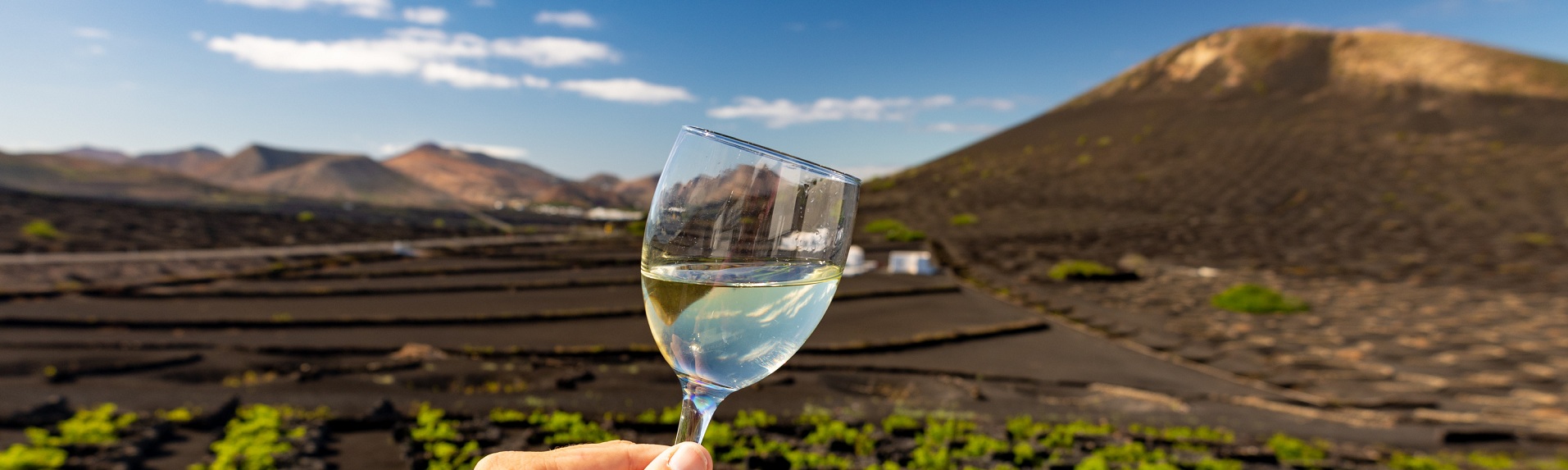 La Geria verwandelt die Vulkanlandschaft Lanzarotes in einzigartige Weinberge, in denen die charakteristische Malvasía Volcánica gedeiht