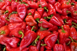 Pimientos del piquillo Pimientos del piquillo