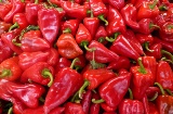 Pimientos del piquillo Pimientos del piquillo