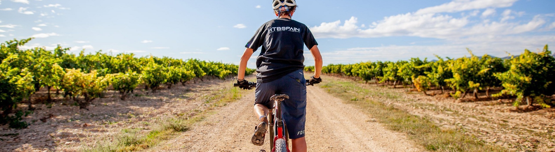 Touren durch die Weinberge gehören zu den beliebtesten Erlebnissen für Velofahrerinnen und Velofahrer in La Rioja.