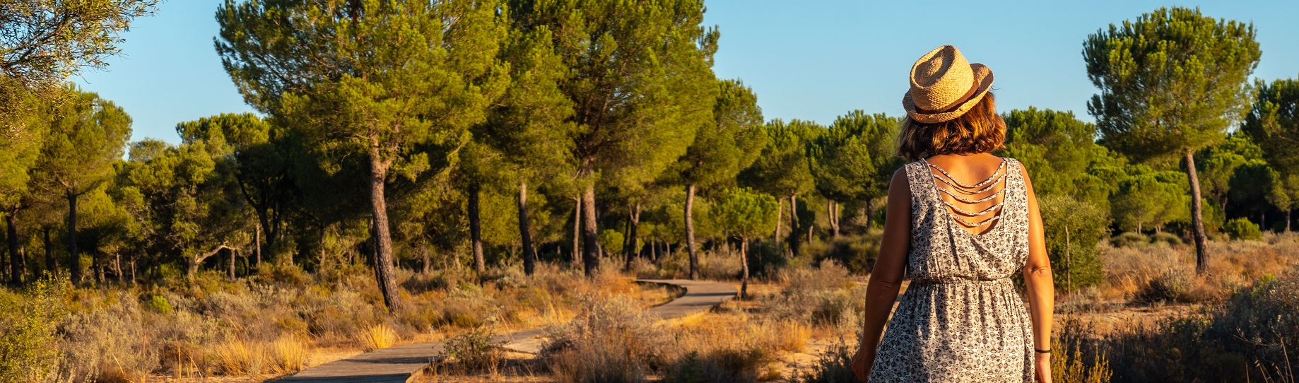 Der Nationalpark Doñana, zwischen den andalusischen Provinzen Huelva, Sevilla und Cádiz gelegen, wurde 1980 von der UNESCO zur Biosphärenreservat erklärt