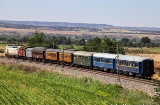 Der Erdbeerzug besteht aus einem Lieferwagen und einem Waggon aus den 1960er Jahren, vier hölzernen Waggons aus den 1920er Jahren namens „Costa“ und einem Metall-Seitengangwagen aus den 1940er Jahren Der Erdbeerzug besteht aus einem Lieferwagen und einem Waggon aus den 1960er Jahren, vier hölzernen Waggons aus den 1920er Jahren namens „Costa“ und einem Metall-Seitengangwagen aus den 1940er Jahren