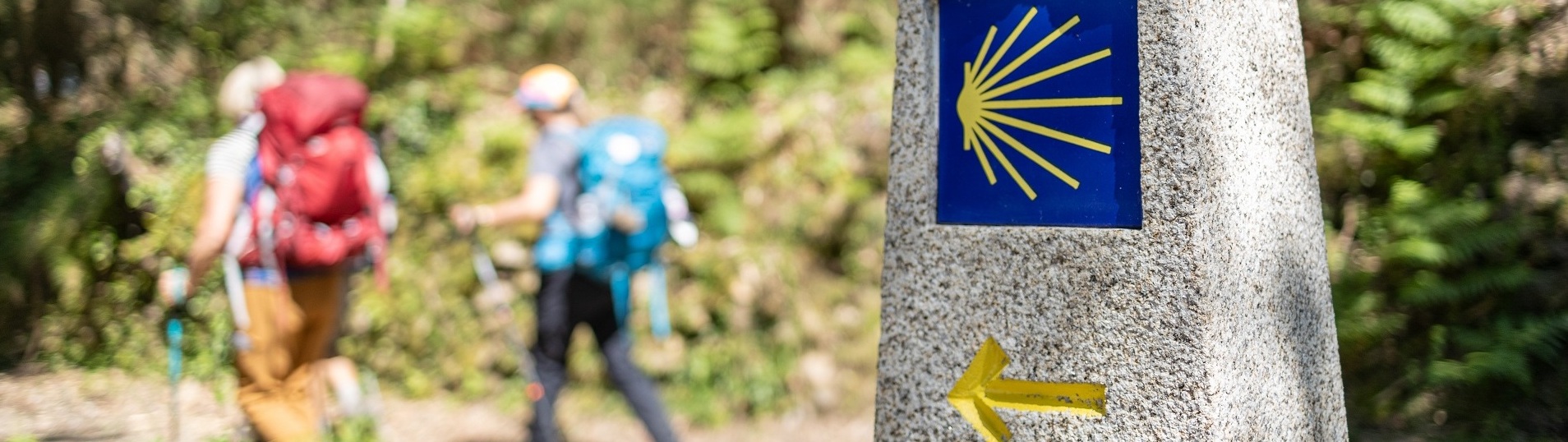 Der Französische Jakobsweg durchquert rund 160 Kilometer des grünsten, ländlichsten und gastfreundlichsten Galiciens