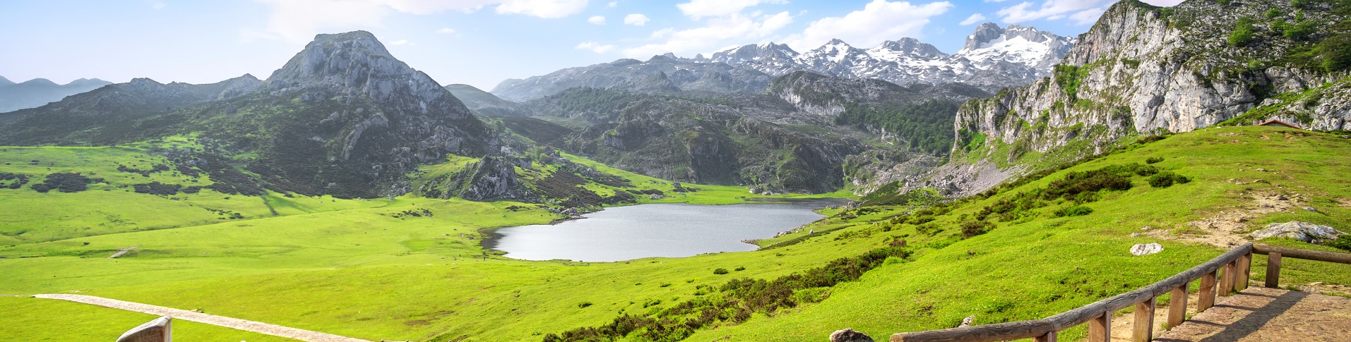 Die Picos de Europa, einer der 16 Nationalparks Spaniens, sind eines der repräsentativsten Beispiele für das atlantische Ökosystem. Der Park erstreckt sich über die Regionen Asturien, Kantabrien und León und beherbergt zudem zwei der symbolträchtigsten Tierarten des Landes: den Braunbären und den iberischen Wolf.