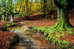 Der Gorbea wurde 1994 zum Naturpark erklärt, und seine 20.016 Hektar machen ihn zum grössten im Baskenland Der Gorbea wurde 1994 zum Naturpark erklärt, und seine 20.016 Hektar machen ihn zum grössten im Baskenland