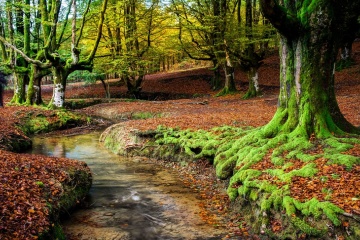Der Gorbea wurde 1994 zum Naturpark erklärt, und seine 20.016 Hektar machen ihn zum grössten im Baskenland