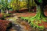 Der Gorbea wurde 1994 zum Naturpark erklärt, und seine 20.016 Hektar machen ihn zum grössten im Baskenland Der Gorbea wurde 1994 zum Naturpark erklärt, und seine 20.016 Hektar machen ihn zum grössten im Baskenland