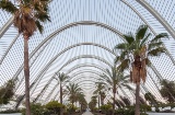 Umbráculo, Ciudad de las Artes y las Ciencias, Valencia, España