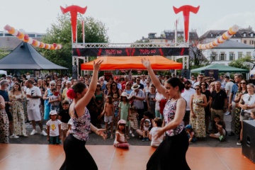 Flamenco Show