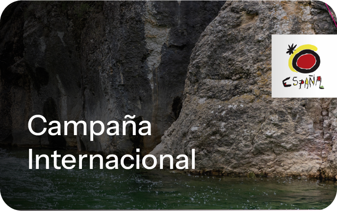 Campaña internacional